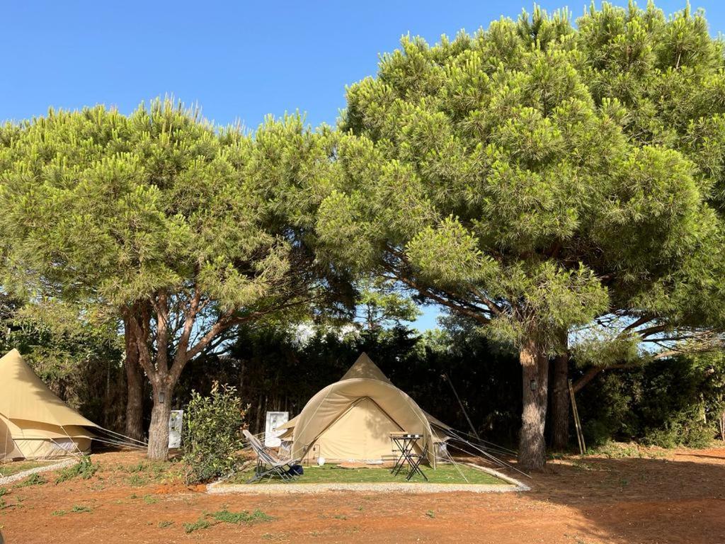 ホテル Glamping La Mimosa Conil コニル・デ・ラ・フロンテラ エクステリア 写真