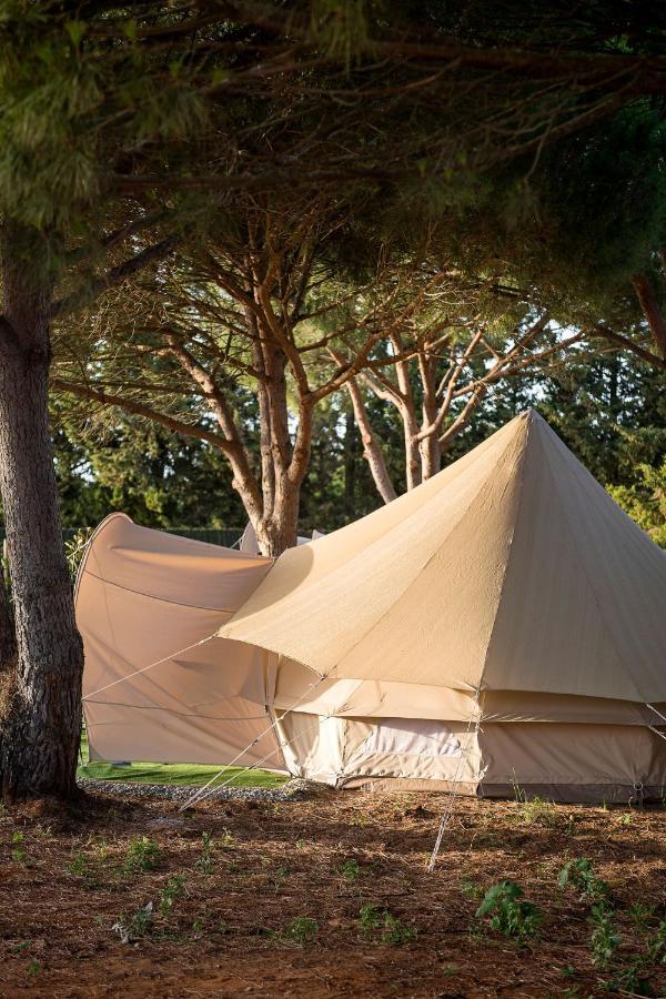 ホテル Glamping La Mimosa Conil コニル・デ・ラ・フロンテラ エクステリア 写真
