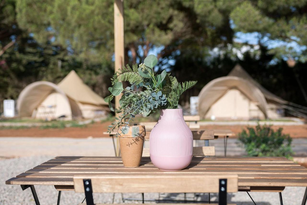 ホテル Glamping La Mimosa Conil コニル・デ・ラ・フロンテラ エクステリア 写真